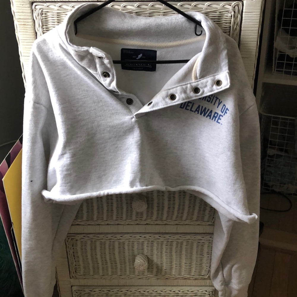 Cropped University of Delaware sweatshirt